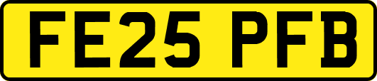 FE25PFB