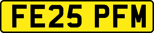 FE25PFM