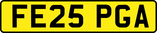 FE25PGA