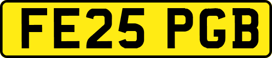 FE25PGB