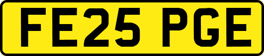 FE25PGE