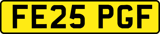 FE25PGF
