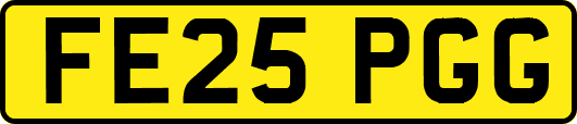 FE25PGG