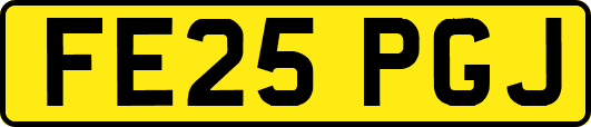 FE25PGJ