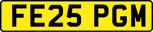 FE25PGM