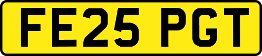 FE25PGT
