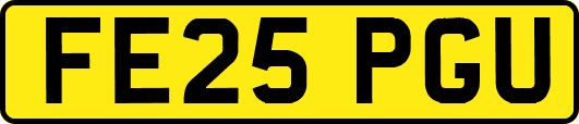 FE25PGU