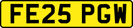 FE25PGW