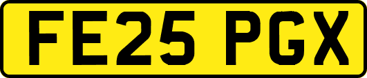 FE25PGX