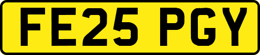 FE25PGY