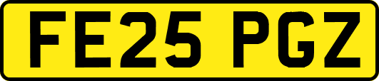 FE25PGZ