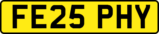 FE25PHY
