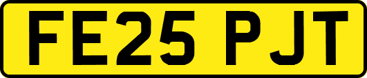 FE25PJT