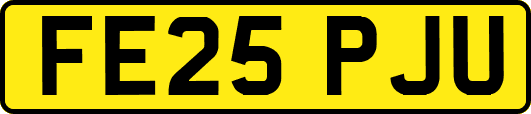 FE25PJU