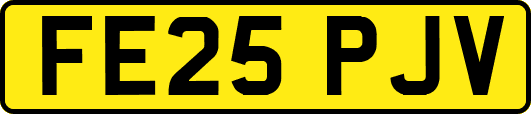 FE25PJV