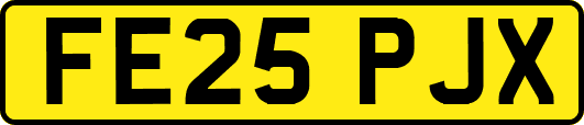 FE25PJX