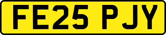 FE25PJY