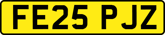 FE25PJZ