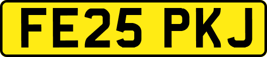 FE25PKJ