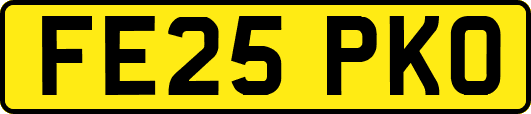 FE25PKO