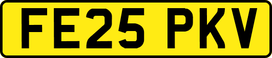 FE25PKV