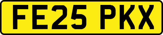 FE25PKX