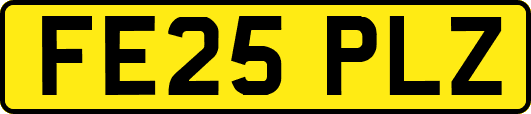 FE25PLZ