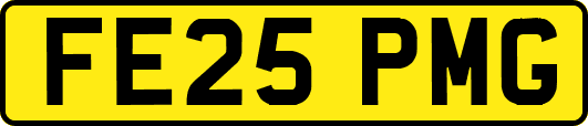 FE25PMG