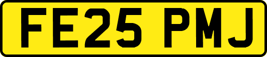 FE25PMJ