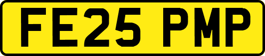 FE25PMP