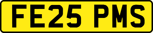 FE25PMS