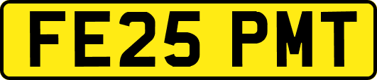 FE25PMT