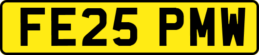 FE25PMW