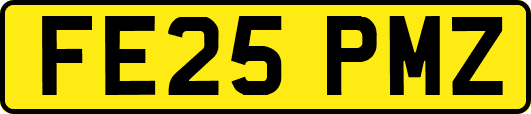 FE25PMZ