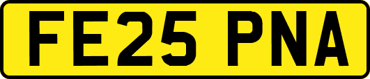 FE25PNA