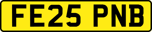FE25PNB