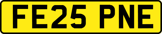 FE25PNE