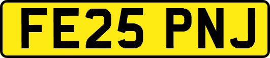 FE25PNJ