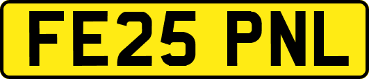 FE25PNL