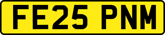 FE25PNM
