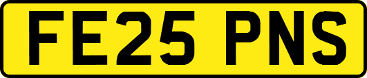 FE25PNS