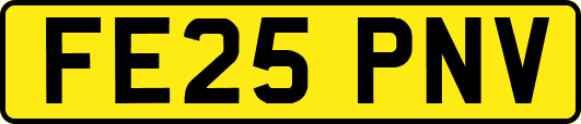 FE25PNV