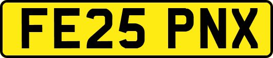 FE25PNX