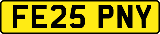 FE25PNY