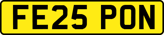 FE25PON