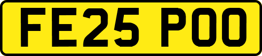 FE25POO