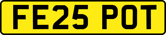 FE25POT