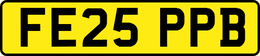 FE25PPB