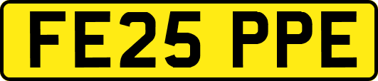 FE25PPE
