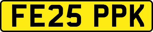 FE25PPK